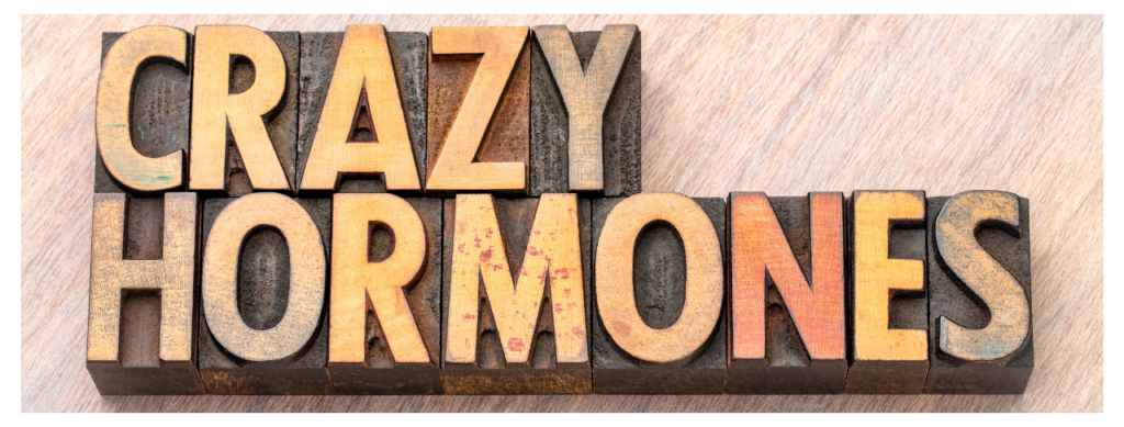 Crazy hormones spelt in blocks. Menopause Month: Balancing your Hormones, Naturally
