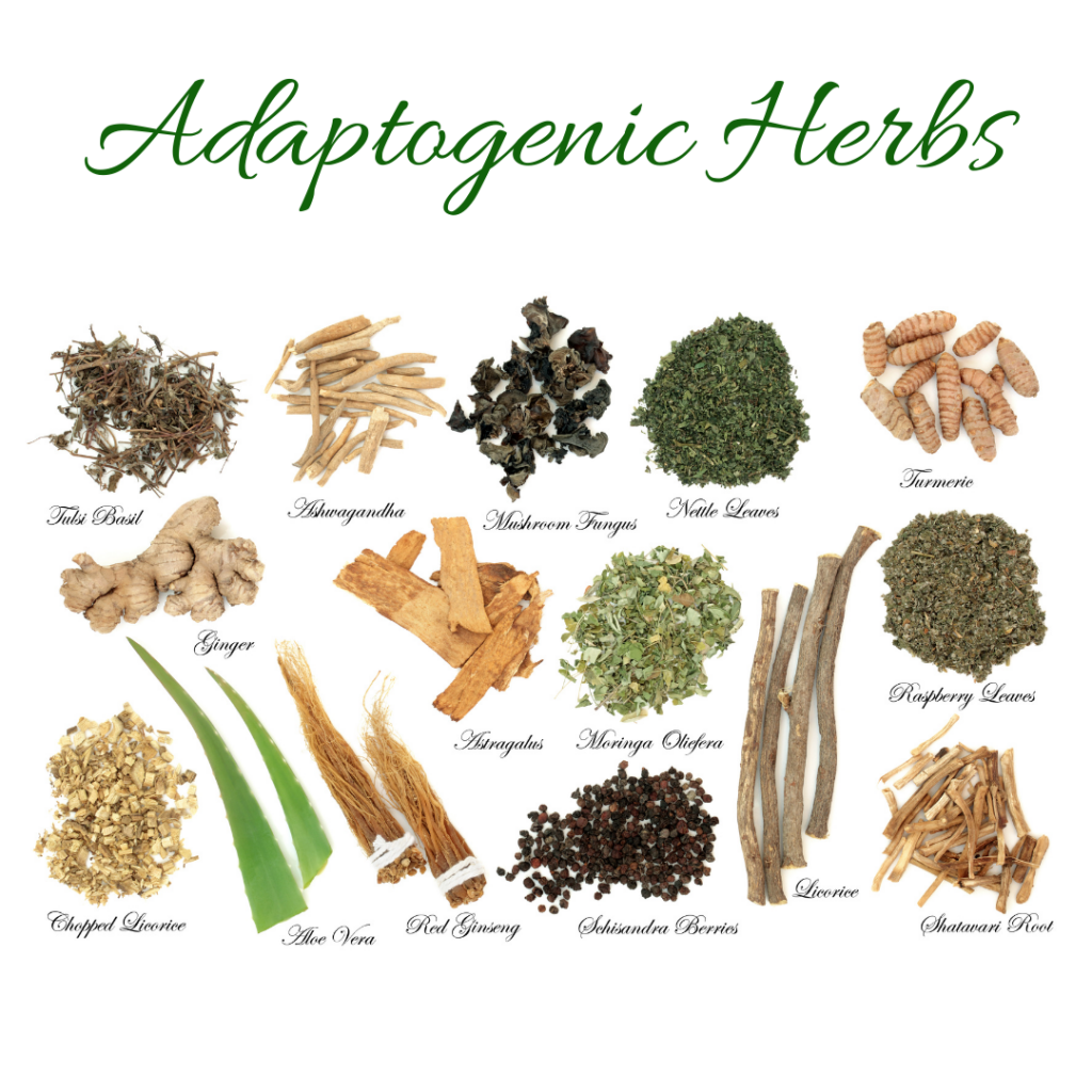 Adaptogens the secret weapon for Menopause?