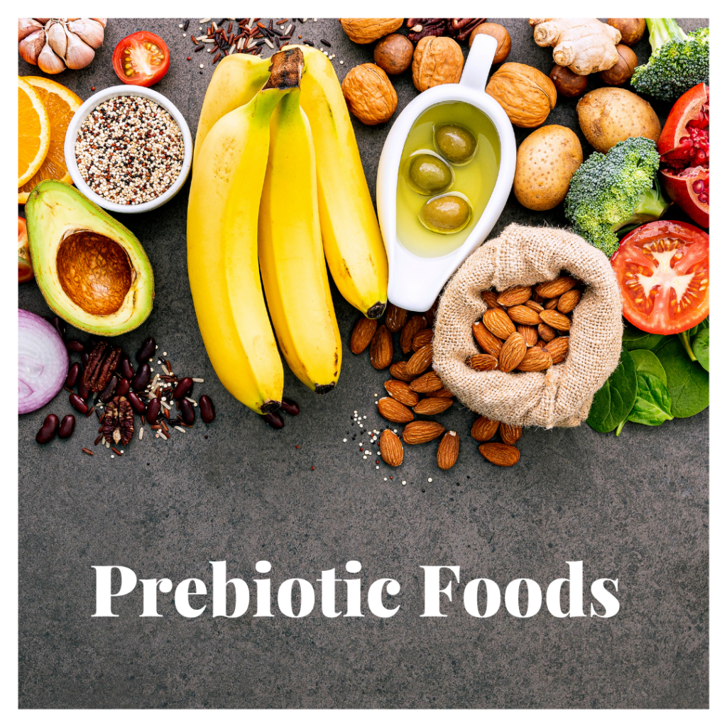 Prebiotics for gut health. Can Gut Health affect Menopause?