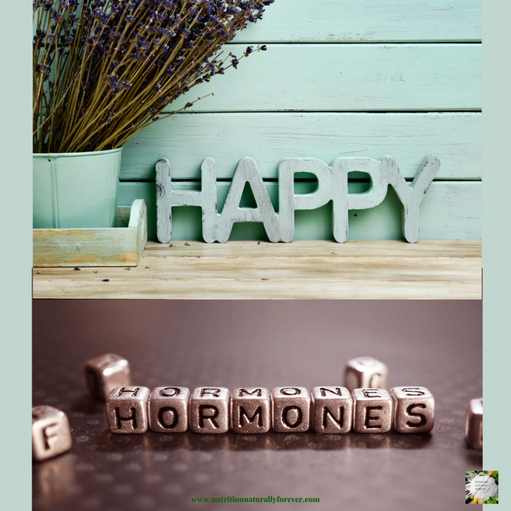 Increase your happy hormones, words on graphic