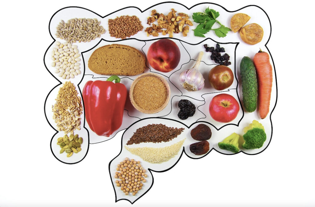 Picture of gut full of nutrition. How to Biohack your Nutrition