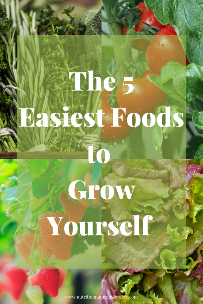 5 Easiest Foods to Grow Yourself, nutrition naturally forever, sue wappett