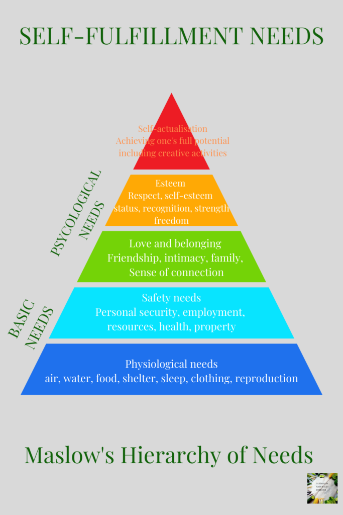 The 2 Magic Ingredients to Create a Healthy Lifestyle