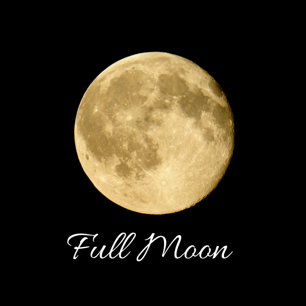 Using the moon cycle in menopause, nutrition naturally forever, sue wappett