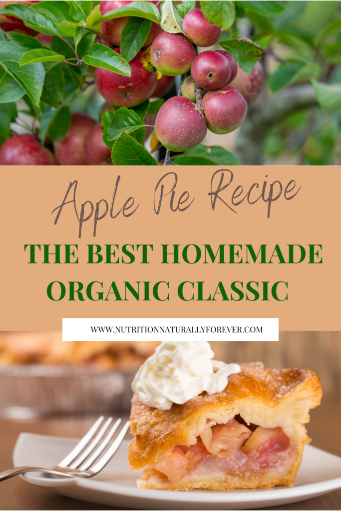 The Best Homemade Organic Classic Apple Pie Recipe