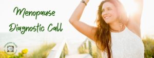 Holistic Menopause Diagnostic call, sue Wappett, menopause doula