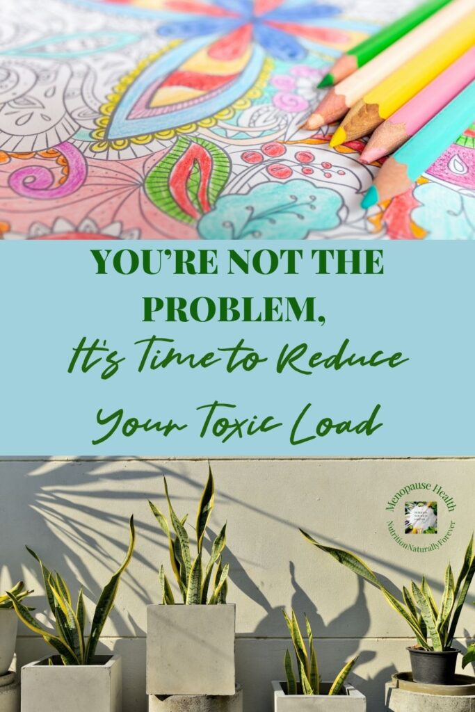 You’re Not the Problem, It’s Time to Reduce Your Toxic Load.  Sue Wappett, Menopause Doula, Nutrition naturally forever.