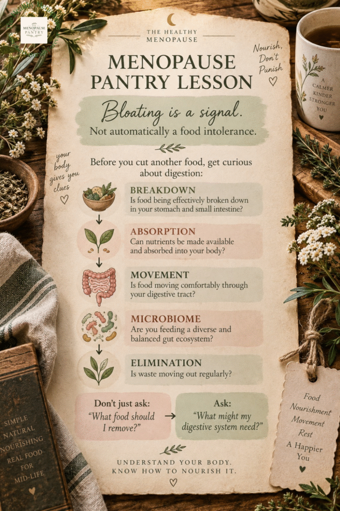Menopause Bloating and Gut Health: Why Your Digestion Changes. Sue Wappett, Menopause Pantry, Nutrition naturally forever