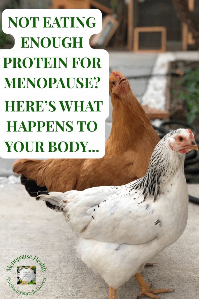 Not Eating Enough Protein for Menopause? Here’s What Happens to Your Body. Menopause doula, nutrition naturally forever, sue wappett