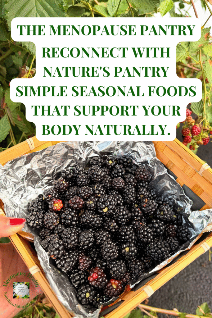 The Menopause Pantry: Reconnecting With Nature's Pantry, sue wappett, menopause doula, nutrition naturally forever