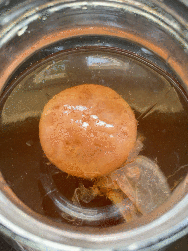 The menopause pantry kombucha