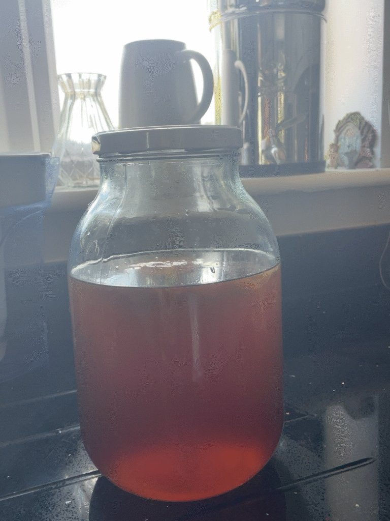 The menopause pantry kombucha brew