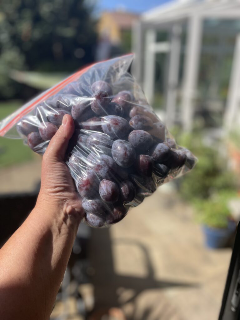 The menopause pantry damsons