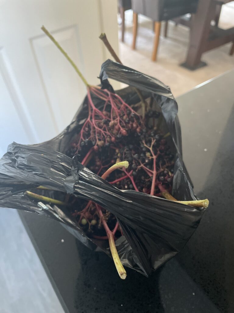 The menopause pantry, elderberries